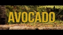 Jah9 - Avocado (Official Video)