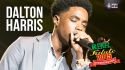 Dalton Harris - Live at Rebel Salute 2015
